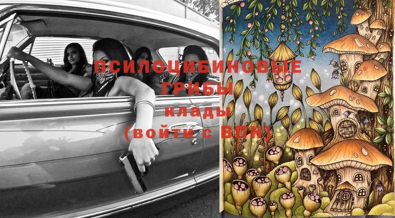 Псилоцибиновые грибы Magic Shrooms  как найти закладки  Ивантеевка 